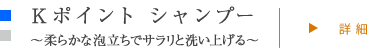 Ｋポイント シャンプー 〜柔らかな泡立ちでサラリと洗い上げる〜